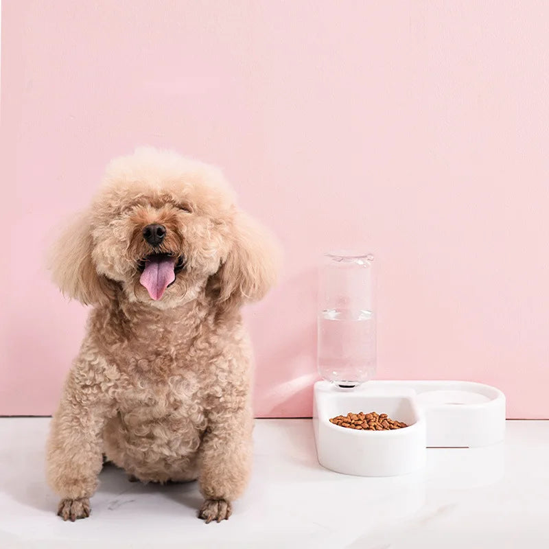 Double Dog and Cat feeder and water dispenser