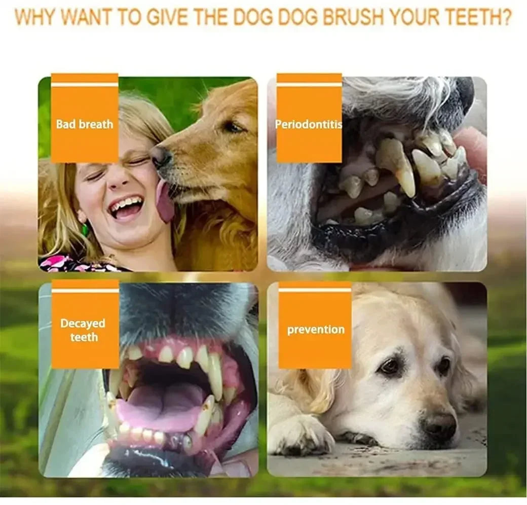 3/1pcs pet finger toothbrush